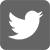 Twitter icon